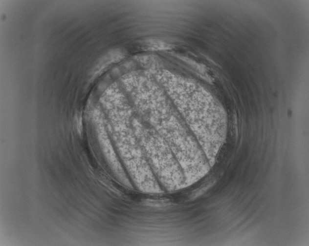 X0000081470556200702092342