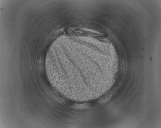 X0000081470557200702092342