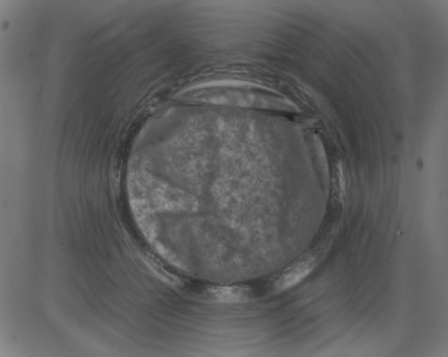 X0000081470558200702092342