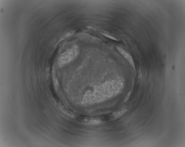 X0000081470559200702092343