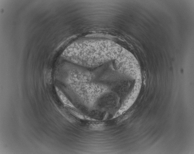 X0000081470560200702092343