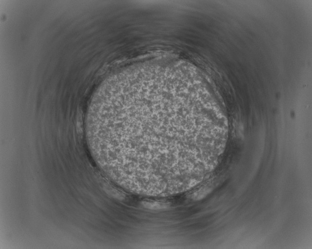 X0000081470561200702092343