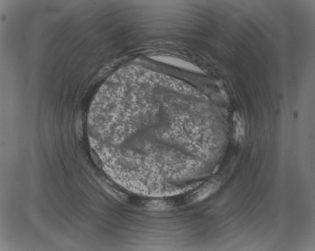 X0000081470562200702092343