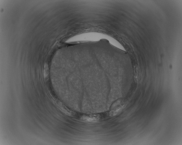 X0000081470563200702092343