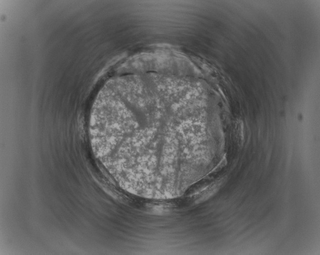 X0000081470564200702092343