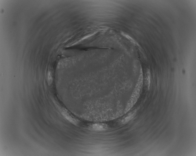 X0000081470566200702092343