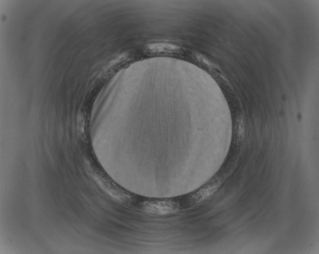 X0000081470567200702092343