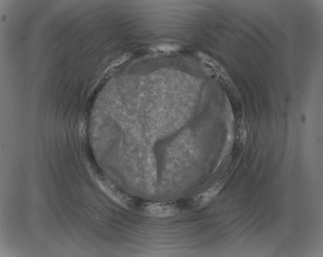 X0000081470568200702092343