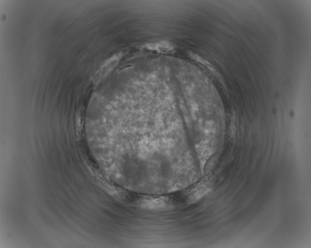 X0000081470569200702092343