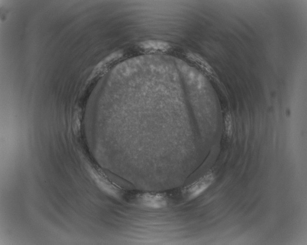 X0000081470570200702092343