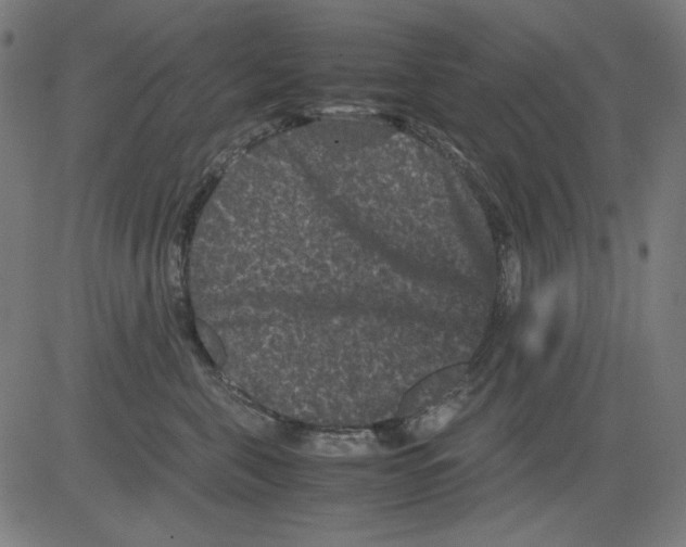 X0000081470571200702092343