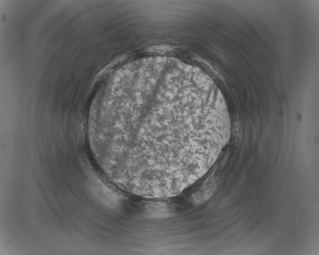 X0000081470572200702092343