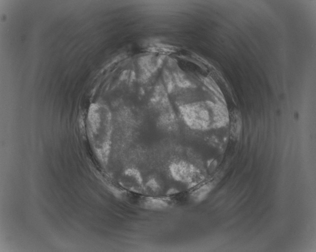 X0000081470573200702092343