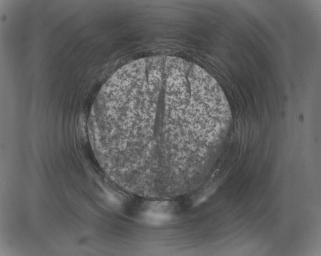 X0000081470575200702092343