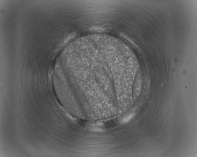 X0000081470576200702092343