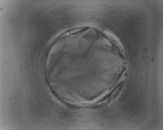 X0000081470577200702092342