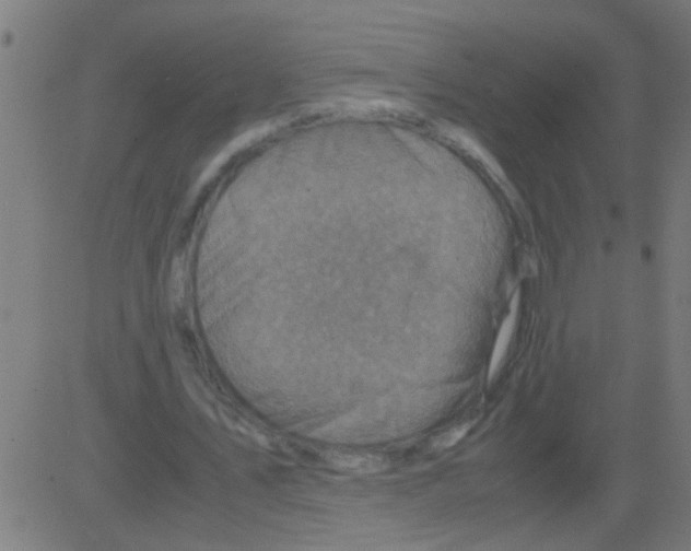 X0000081470579200702092342