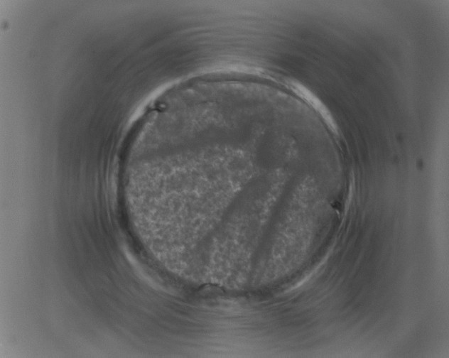 X0000081470580200702092342