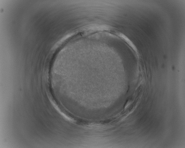 X0000081470581200702092342