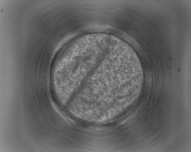 X0000081470582200702092342