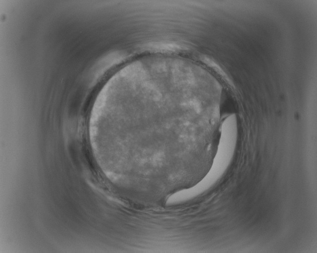 X0000081470583200702092342