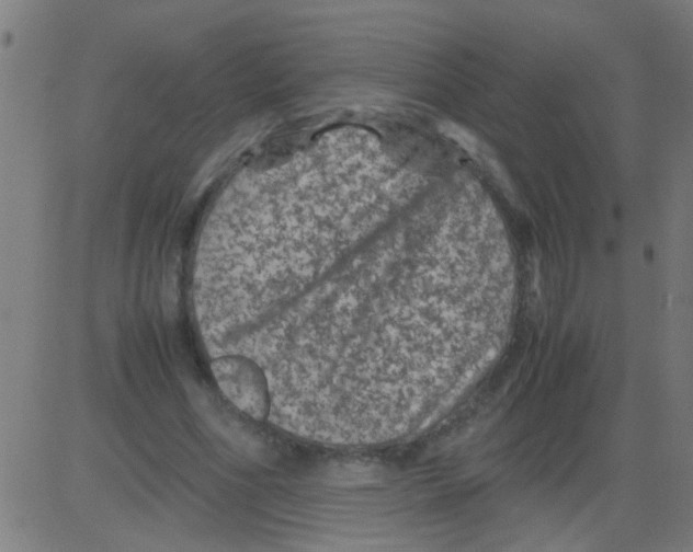 X0000081470586200702092342