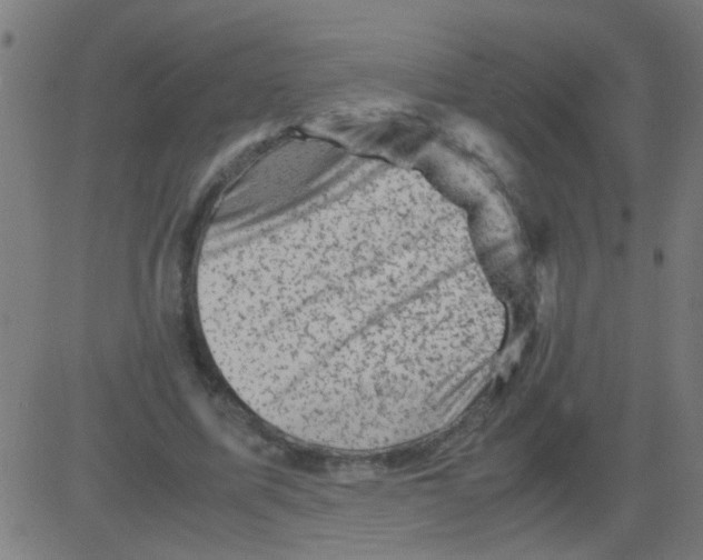 X0000081470587200702092342