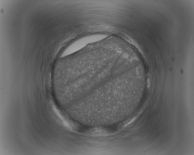 X0000081470589200702092342