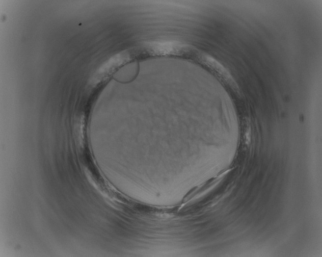 X0000081470590200702092342