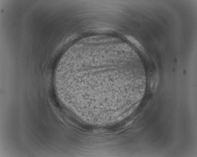 X0000081470591200702092342