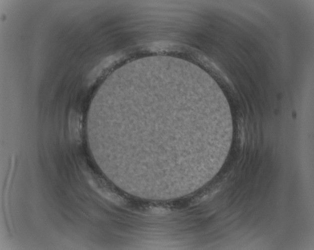 X0000081470592200702092342