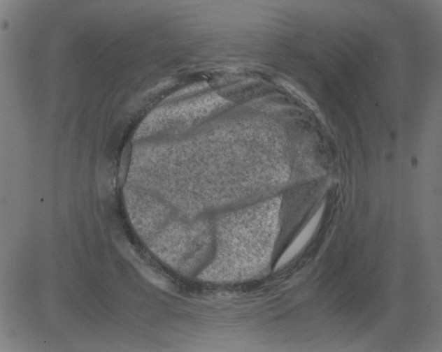 X0000081470593200702092342