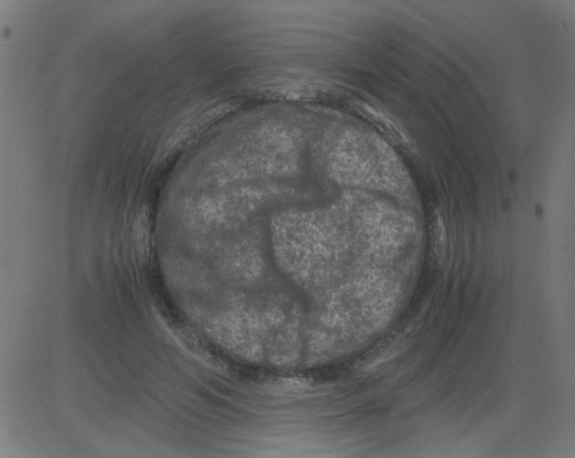 X0000081470594200702092342