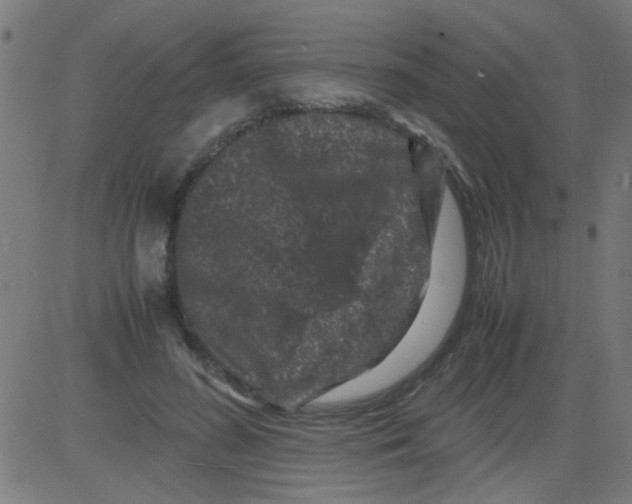 X0000081470596200702092342