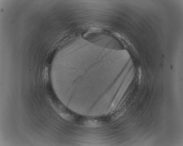 X0000081470598200702092342