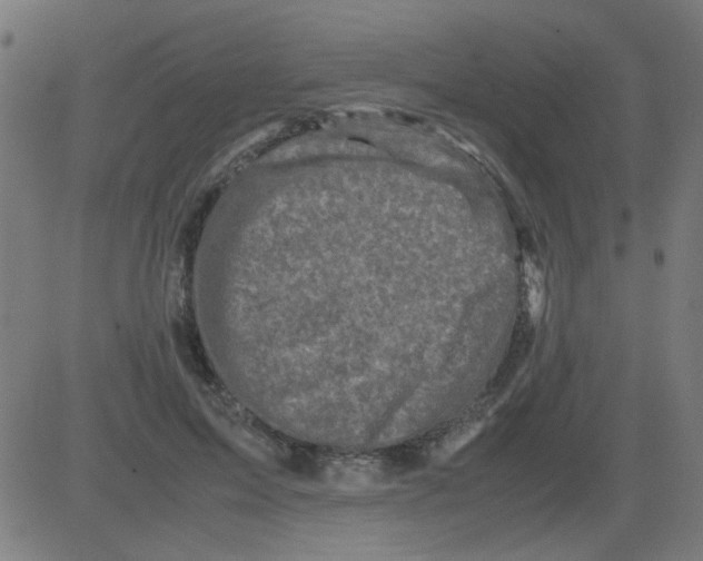 X0000081470599200702092342