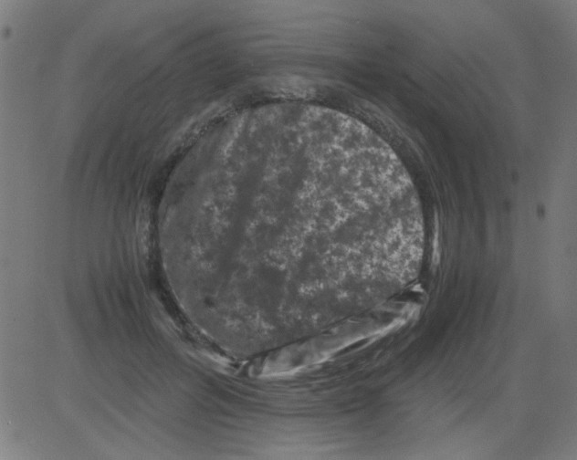 X0000081470600200702092342