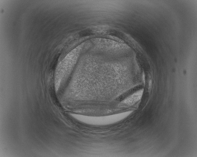 X0000081470601200702092342