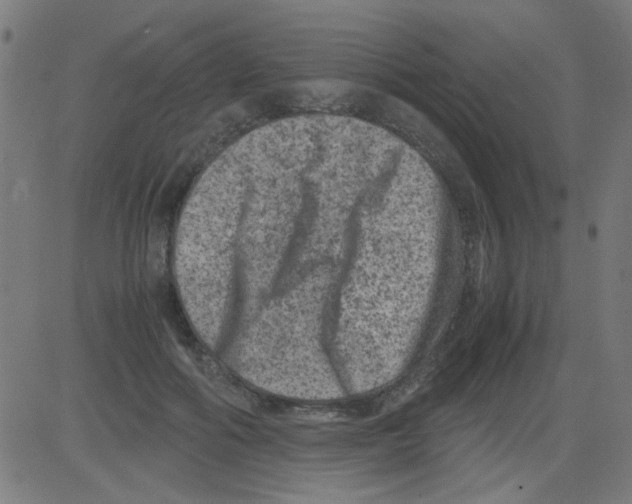 X0000081470602200702092342