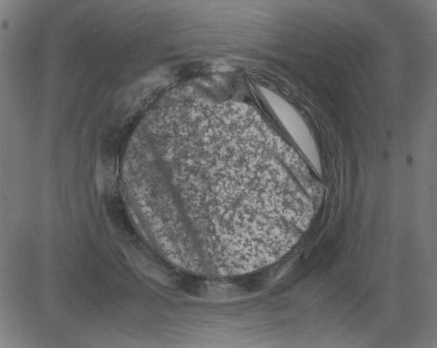 X0000081470605200702092342