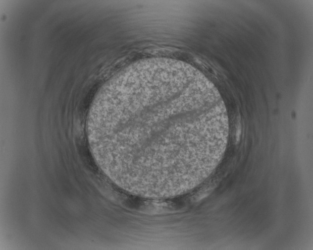 X0000081470607200702092342