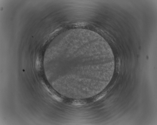 X0000081470608200702092341