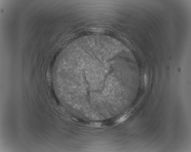 X0000081470609200702092341