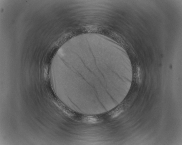 X0000081470610200702092341