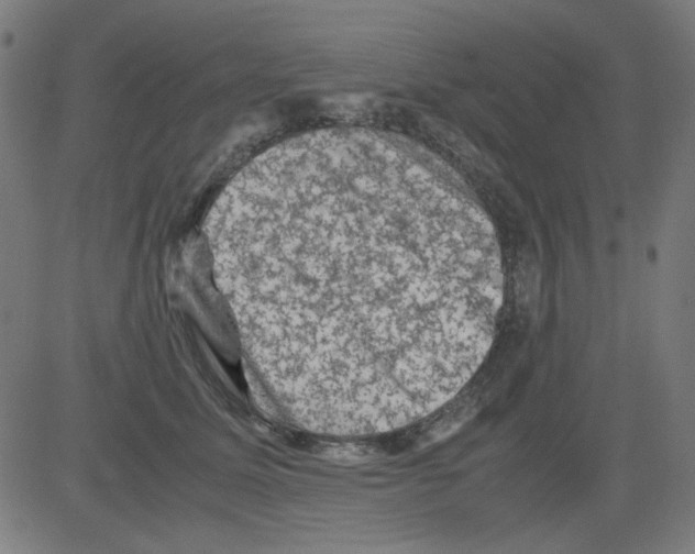 X0000081470611200702092341