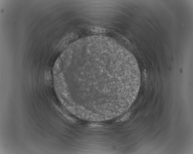 X0000081470614200702092341