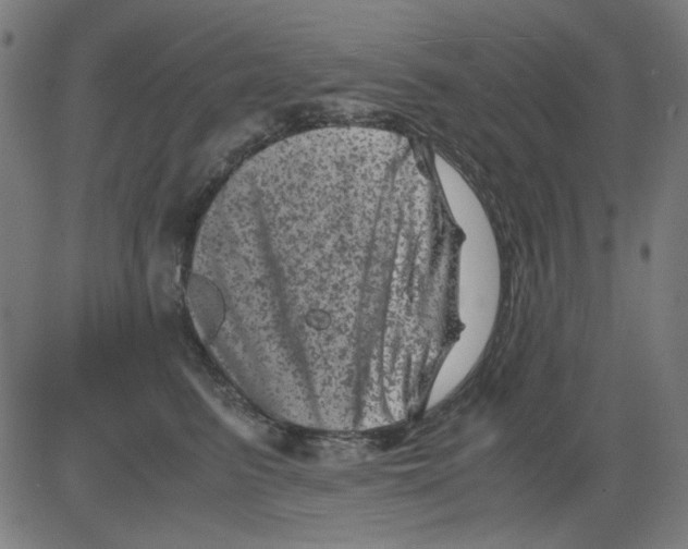 X0000081470615200702092341