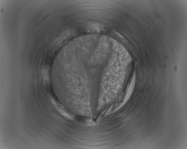 X0000081470616200702092341