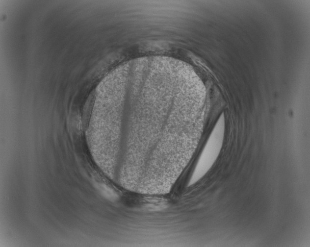 X0000081470617200702092341