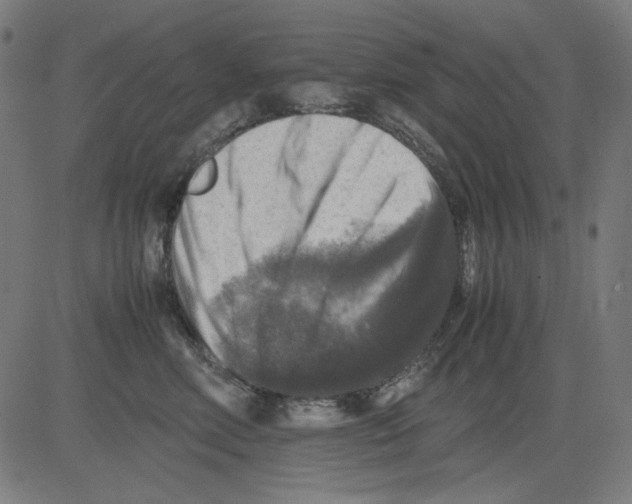 X0000081470618200702092341